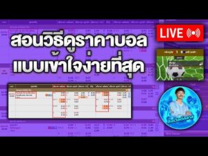 Read more about the article สอนแทงบอลสำหรับมือใหม่ เริ่มต้นอย่างไรให้ปลอดภัยและได้กำไร ปี 2025