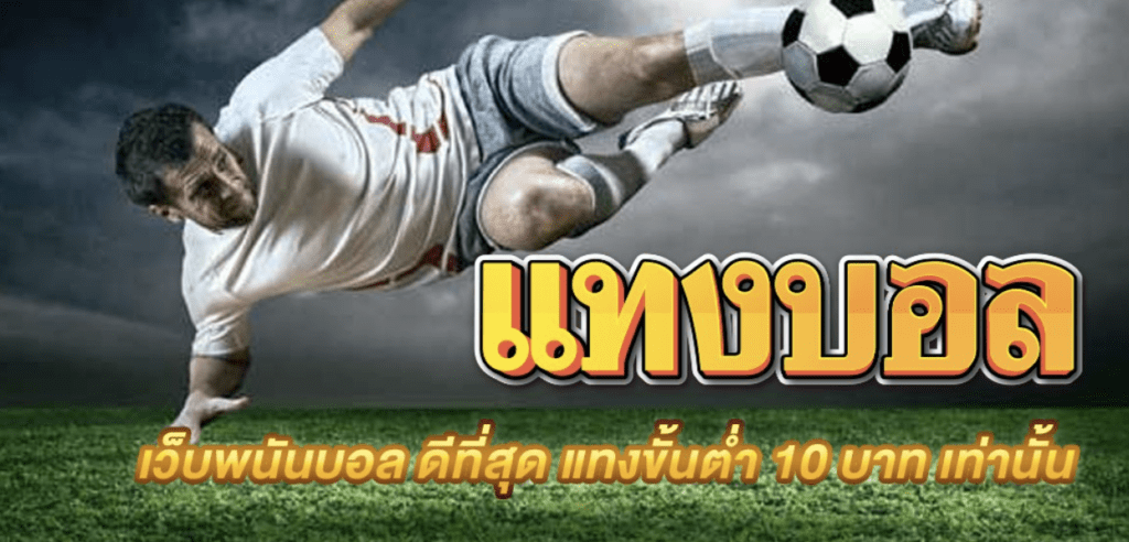 You are currently viewing แทงบอลลีกไหนดี? แนะนำ 5 ลีกวิเคราะห์ง่ายสำหรับมือใหม่